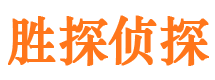 七里河市私人侦探